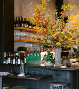 The Anchovy Bar